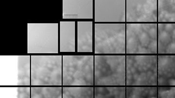 114278066_50276522908_7a9ed8756f_o