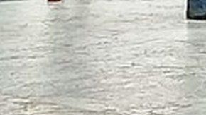 El cachorro de tigre fue visto en el centro comercial Antara, en el noroeste de Ciudad de México.