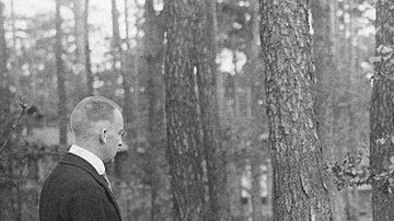 114285410_gettyimages-542352491-1