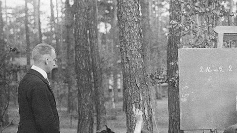 114285410_gettyimages-542352491-1