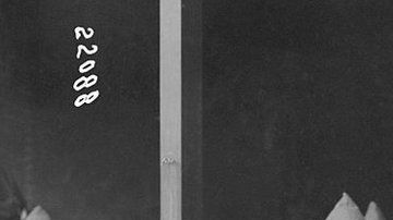 114285412_gettyimages-515131596