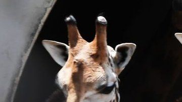 Las matemáticas y los números nacieron para resolver problemas reales.