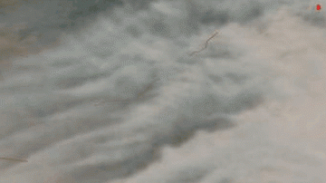 114304603_nasa-worldview-2020-09-05t00_00z-to-2020-09-07t00_00z