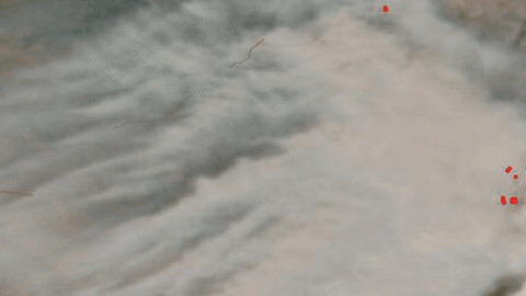 114304603_nasa-worldview-2020-09-05t00_00z-to-2020-09-07t00_00z