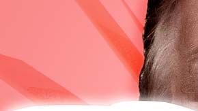 114337272_9f5d6deb-48f4-4979-9d03-c1b420266638