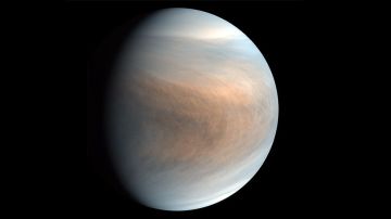 Planeta Venus: la fosfina es detectada en latitudes medias