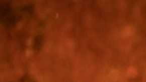 114377768_gettyimages-1228503845