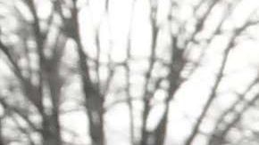 Cientos de miles podrían ser deportados al cancelarse su TPS.