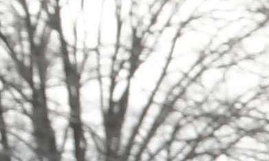 Cientos de miles de inmigrantes podrían ser deportados al cancelarse su TPS.