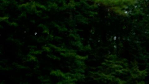 La mexicana denuncia que se sentía constantemente expuesta por su identidad de género.