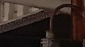 Vienen reformas penales en todo NY