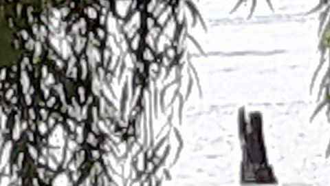 Vecinos e indigentes  conviven en parques del UWS