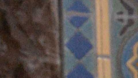 Presidenta del Concejo de L.A. (Suministrada)