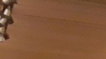 Los negocios de Joe Germanotta en Grand Central, NYC