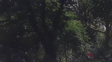 NYPD marcó la escena del homicidio en el elegante Madison Square Park