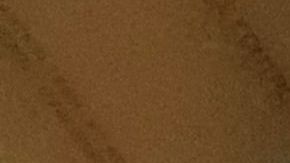 Indigencia y elecciones, NYC 2020