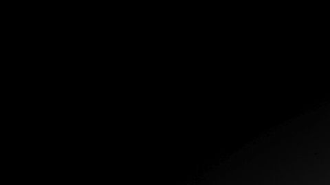 Woven City de Toyota