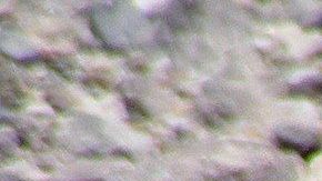 Serpiente de cascabel.