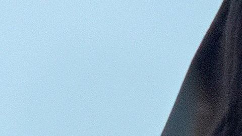 Las estatuas de cera se "derretirán" en un periodo de entre cuatro y cinco días.