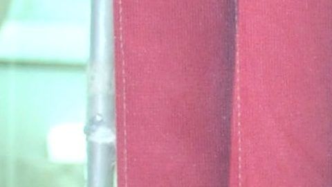 Alejandra de la Fuente Bozzo.