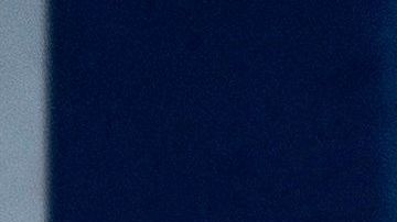 El presidente Trump ha difundido muchas veces teorías de la conspiración.