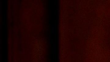 Trump estaba, en realidad, esperando a la primera dama, Melania Trump.