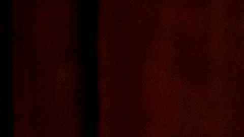 Trump estaba, en realidad, esperando a la primera dama, Melania Trump.