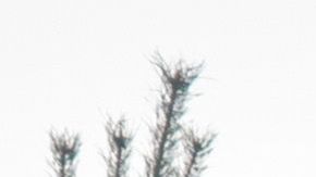 El bombero quedó sorprendido al ver que la virgen no fue dañada.