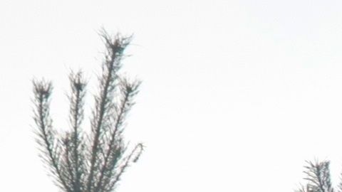 El bombero quedó sorprendido al ver que la virgen no fue dañada.