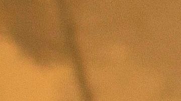 Restos de una vivienda destruida por el fuego en Berry Creek, California.