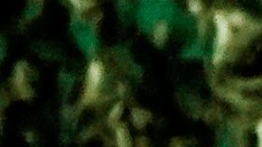 Los siete disparos de un policía a Jacob Blake avivaron la agitación social.