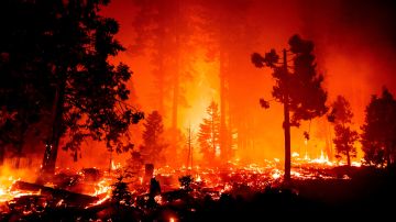 El fuego de Creek ya ha quemado 18,400 hectáreas.