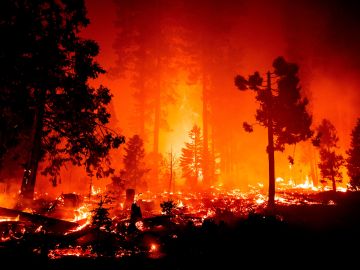 El fuego de Creek ya ha quemado 18,400 hectáreas.