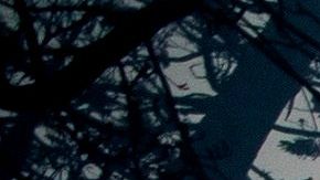 Sierra National Forest es uno de los que permanecerá cerrado.