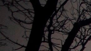 Los bomberos trabajan a destajo antes de que lleguen vientos cálidos y secos.