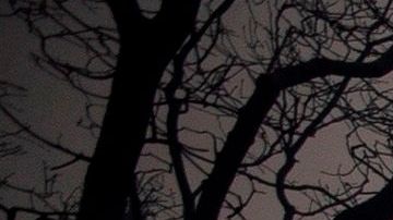 Los bomberos trabajan a destajo antes de que lleguen vientos cálidos y secos.