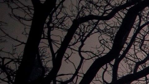 Los bomberos trabajan a destajo antes de que lleguen vientos cálidos y secos.