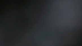 Alguien abrió la puerta del auto del policía, lo que provocó que disparara.