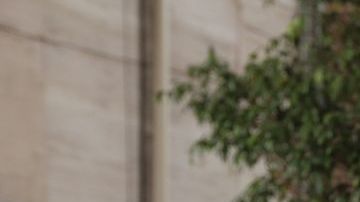 Cachitos para la rifa del avión presidencial.