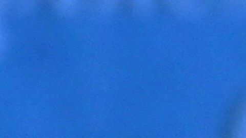 Joe Biden y Donald Trump se enfrentaron en el primer debate presidencial.