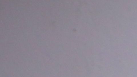 Para el primer trimestre de 2021, Diego Torres estrenará 'Atlántico a pie', su primer álbum luego de cinco años. Foto: Sony