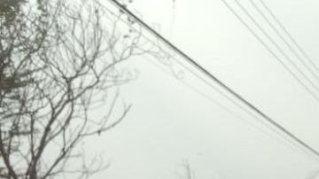 Escena crimen México