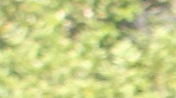 MEXICO-CRIME-CORPSES
Forensic personnel carry one of the corps found at the crime scene of a clandestine grave located inside a house in Guadalajara, Jalisco State, Mexico on August 3, 2018. - The prosecutor´s office of the state of Jalisco reported at least ten bodies have been found in a clandestine grave, Guadalajara is the second Mexican city and has a strong presence of organised crime. (Photo by ULISES RUIZ / AFP)        (Photo credit should read ULISES RUIZ/AFP via Getty Images)