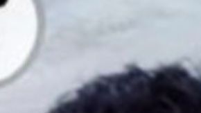 FOTOS: Exhiben a joven por presuntamente ser integrante del Cártel de Los Zetas