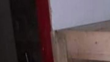 FOTOS: Mujer tenía encerrado a abuelito de 87 años dentro de caja en condiciones infrahumanas