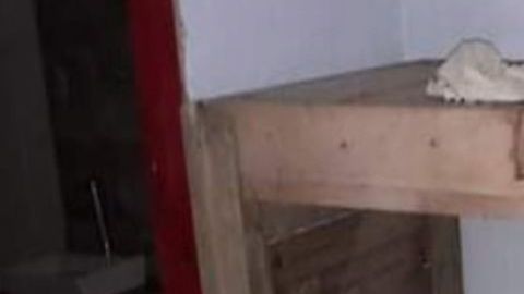 FOTOS: Mujer tenía encerrado a abuelito de 87 años dentro de caja en condiciones infrahumanas