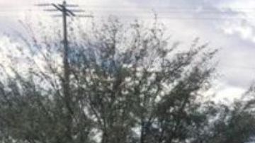 FOTOS: Sicarios atacan a policías, escapan y mueren tras volcadura de troca en que escapaban