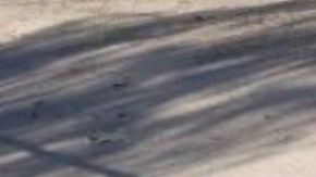 FOTOS: Sicarios matan brutalmente a 5 jóvenes; les dieron el tiro de gracia