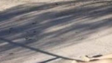 FOTOS: Sicarios matan brutalmente a 5 jóvenes; les dieron el tiro de gracia