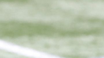 Falcons Seahawks protesta